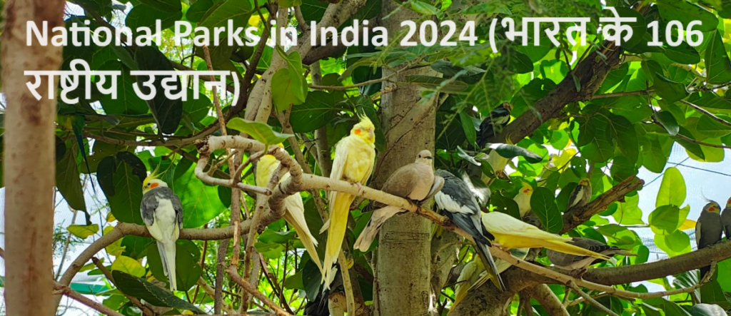 National Parks in India 2024 (भारत के 106 राष्टीय उद्यान)